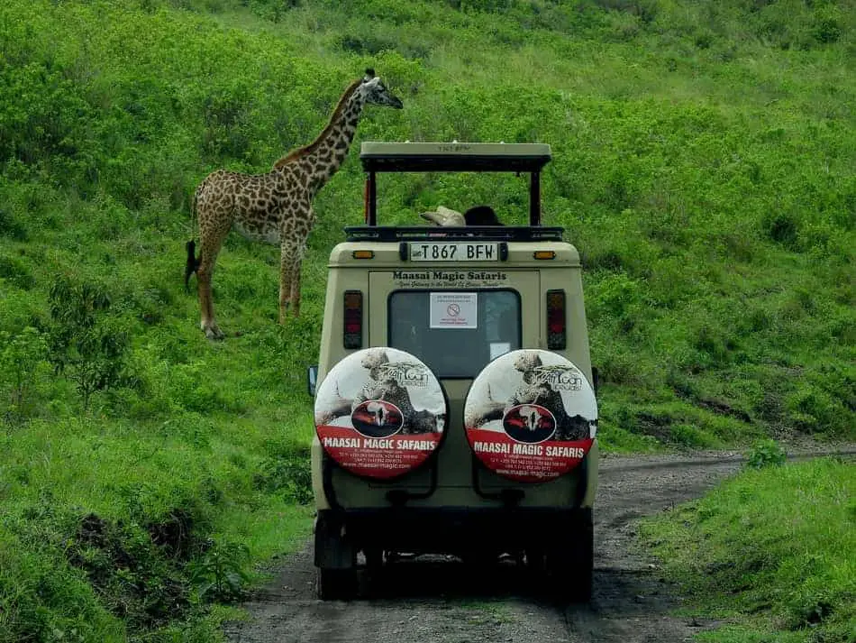 best cheap safaris in tanzania